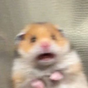 Meet your Posher, Victor